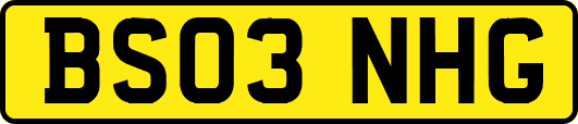 BS03NHG