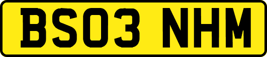 BS03NHM