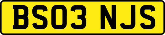 BS03NJS
