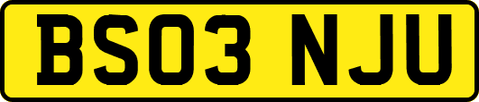 BS03NJU
