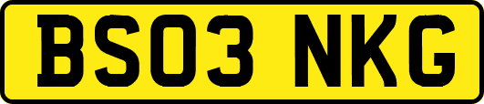 BS03NKG