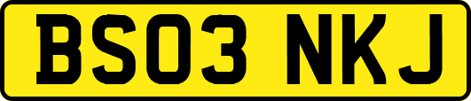 BS03NKJ
