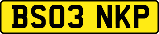 BS03NKP