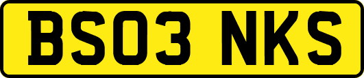 BS03NKS