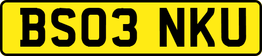 BS03NKU