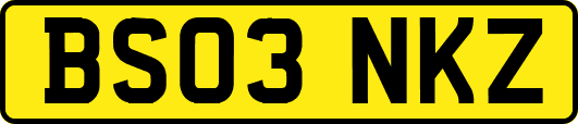 BS03NKZ