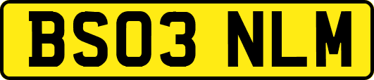 BS03NLM
