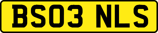 BS03NLS