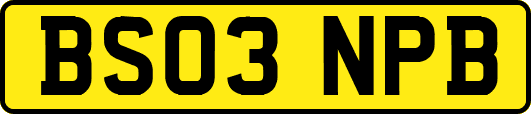 BS03NPB