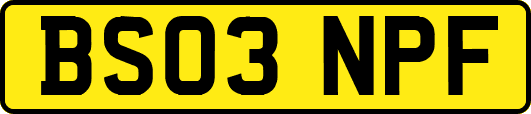 BS03NPF