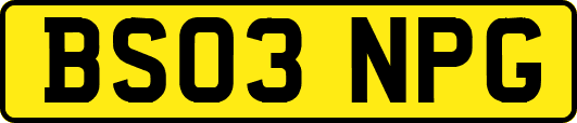 BS03NPG