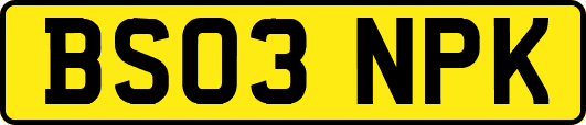 BS03NPK