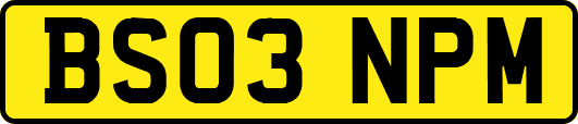BS03NPM