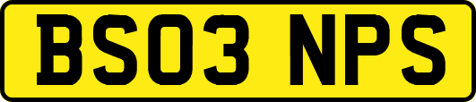 BS03NPS