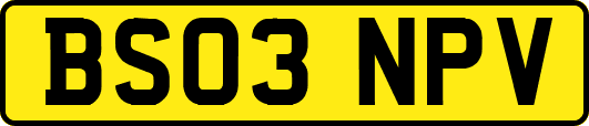 BS03NPV
