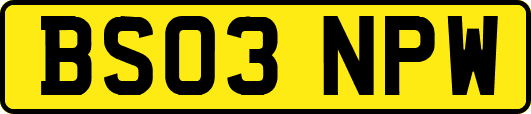 BS03NPW