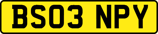 BS03NPY