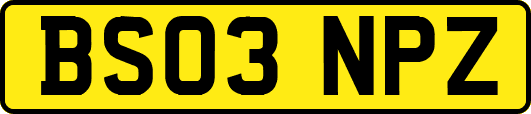 BS03NPZ