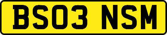 BS03NSM