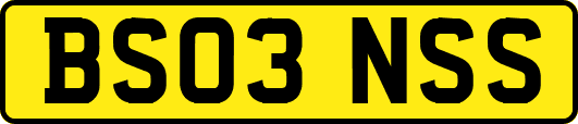BS03NSS