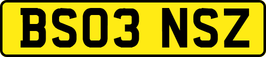 BS03NSZ
