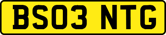 BS03NTG