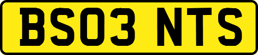 BS03NTS