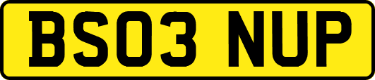 BS03NUP