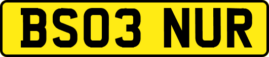 BS03NUR