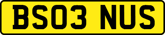 BS03NUS
