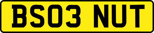BS03NUT