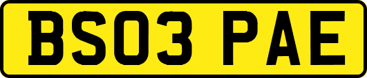 BS03PAE