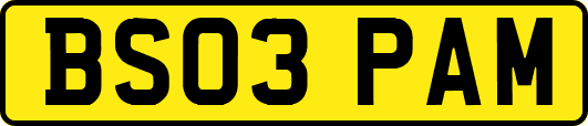 BS03PAM