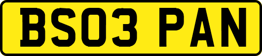BS03PAN