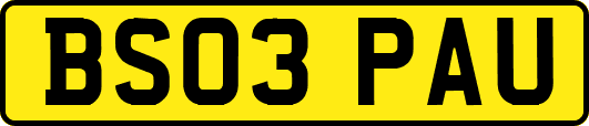 BS03PAU