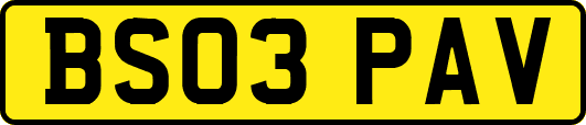 BS03PAV