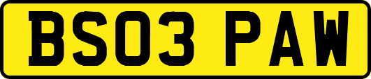 BS03PAW