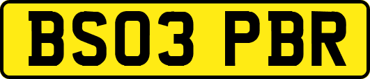 BS03PBR