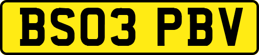 BS03PBV