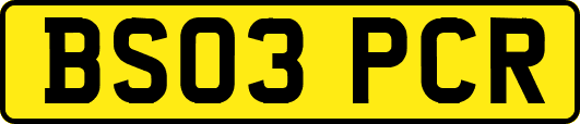BS03PCR