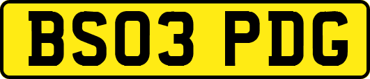 BS03PDG