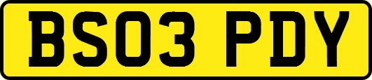 BS03PDY