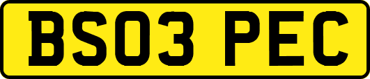 BS03PEC