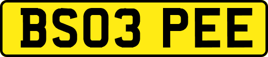 BS03PEE