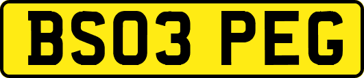 BS03PEG