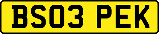 BS03PEK