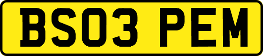 BS03PEM