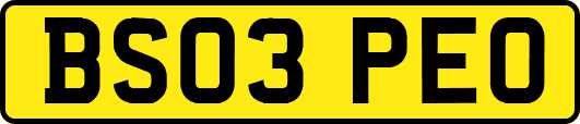 BS03PEO