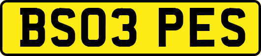 BS03PES