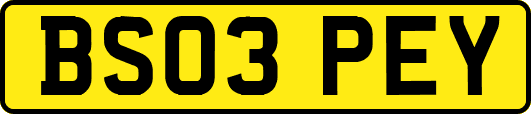 BS03PEY
